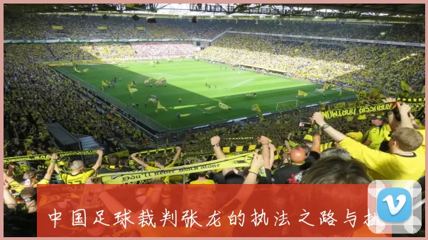 中国足球裁判张龙的执法之路与挑战解析