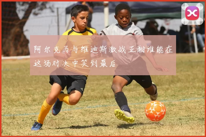 阿尔克马与维迪斯激战正酣谁能在这场对决中笑到最后