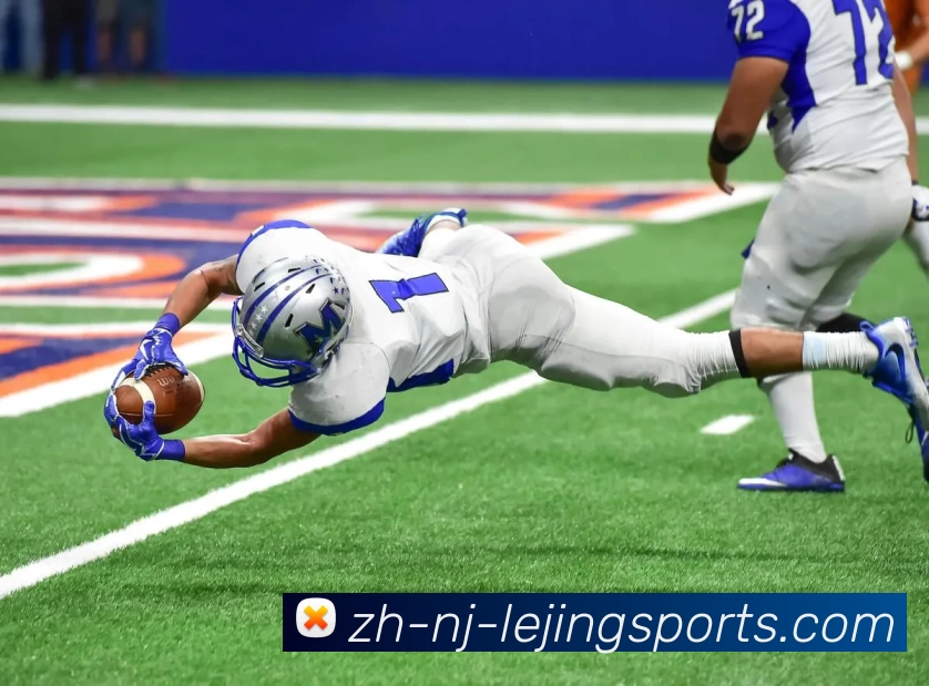 乐竞体育平台生态图